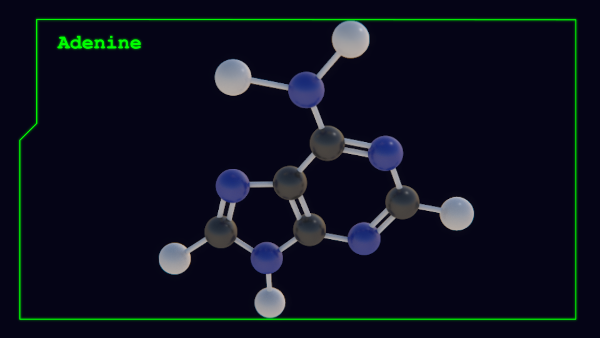 DNA Nucleotides