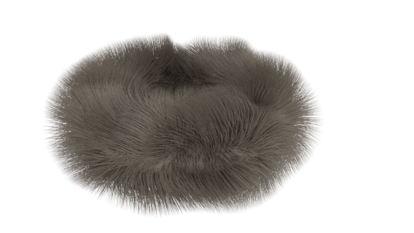 fluffy torus