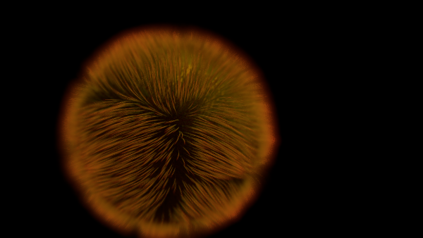 texture field hair particles