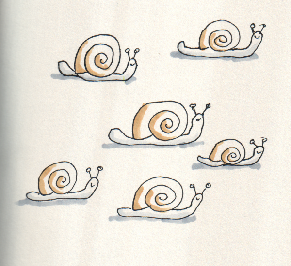 snail race