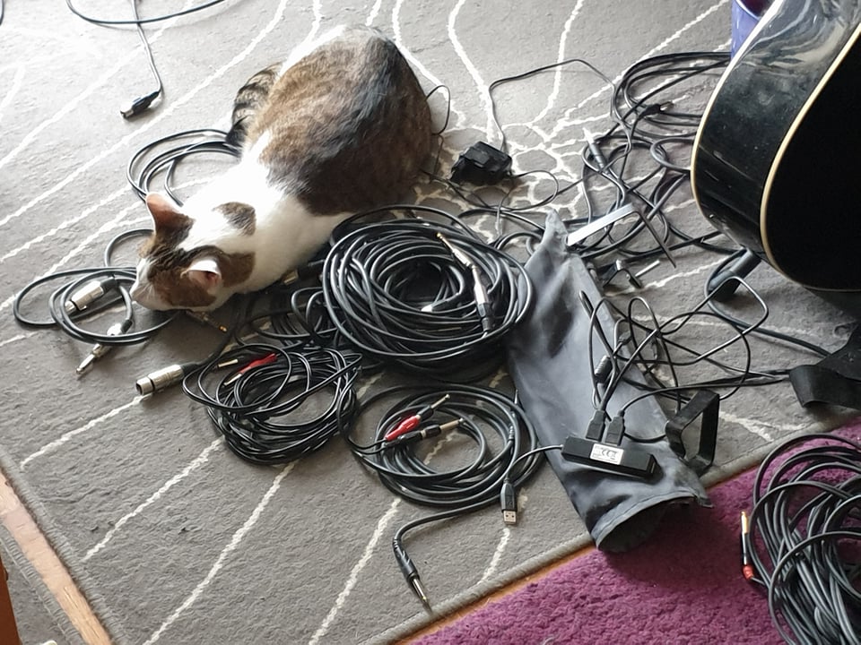 cable cat